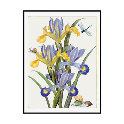 grafika botaniczna retro