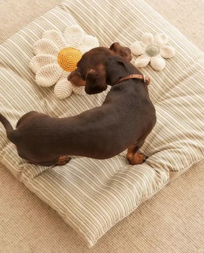 legowisko dla psa poducha