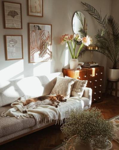 mieszkanie w kamienicy kanapa w salonie