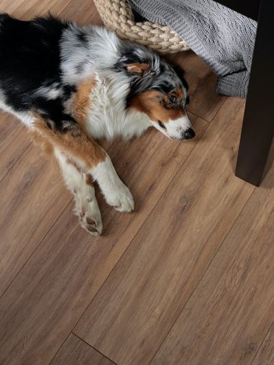 panele podłogowe wodoodporne Querra