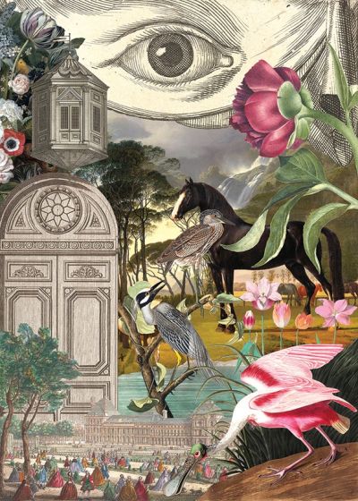 „Mysterious eye”, 2019