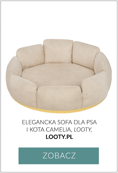 prezent na święta dla psa i kota