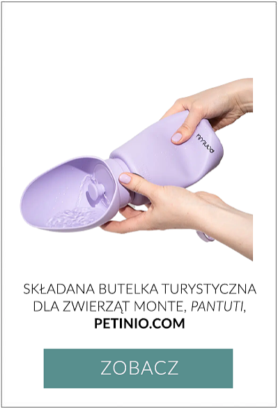 prezent na święta dla psa