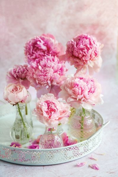 dekoracje z kwiatów piwonii