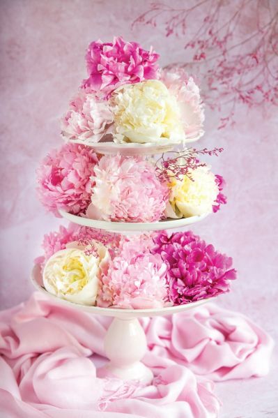 kwiaty piwonii na paterze dekoracja