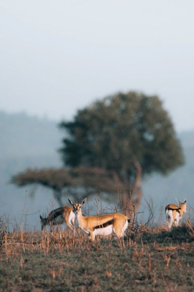 Monika Wanat fotografia