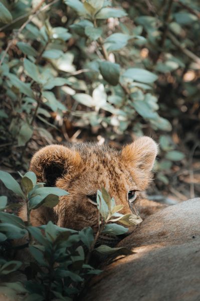 Monika Wanat fotografia