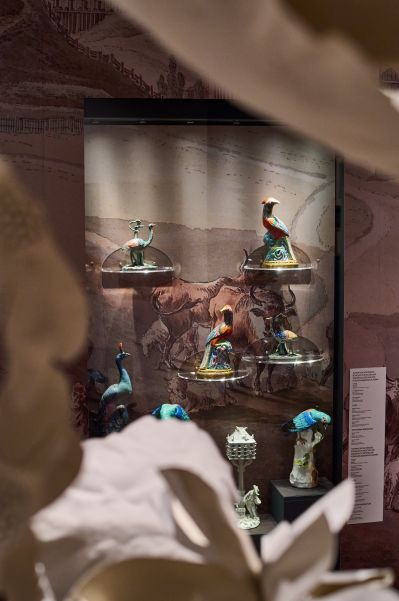 wystawa życie królewskiego ogrodu w łazienkach królewskich