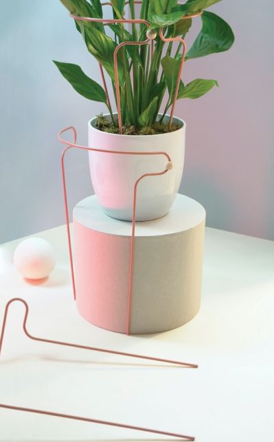 tyczki i podpórki do roślin doniczkowych