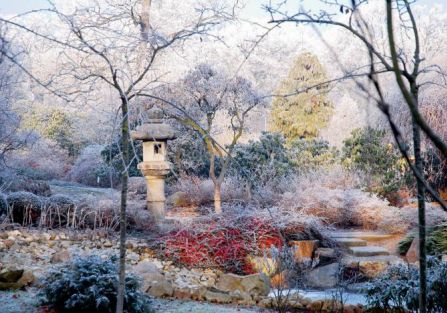 Ogród japoński zimą. Ogród japoński pod śniegiem