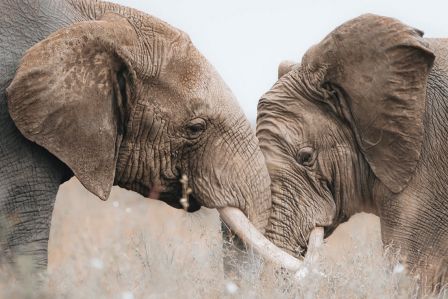 Monika Wanat fotografia