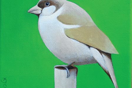 Katarzyna Jędrysik-Castelli malarstwo