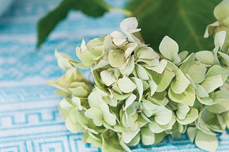 Żakardy z Fabriqi. Żakardowe opowieści