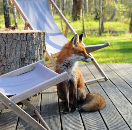 projektowanie i aranżacja wnętrz EWEM Edyta Wełnicka