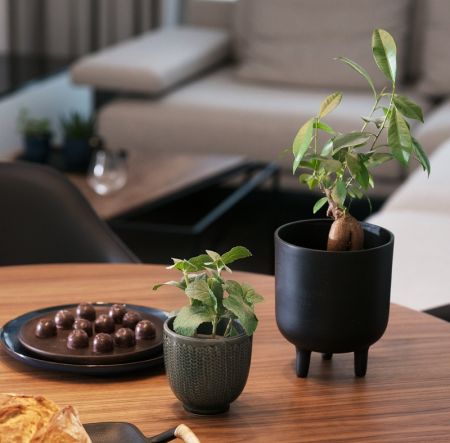 EWEM Edyta Wełnicka  Aranżacja wnętrz Piła