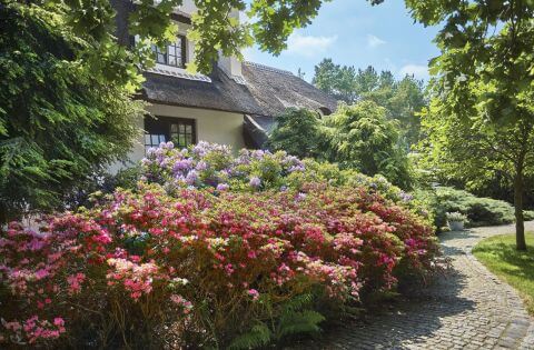 Małgosia i Marek zakochali się w nastrojowych rezydencjach winiarzy we Włoszech i Francji. Podobny dom