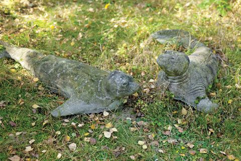 Anna Dębska rzeźbi zwierzęta. Jej drewniany dom stoi w lesie, a pomiędzy drzewami stoi mnóstwo rzeźb.