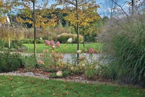 jesienne kwiaty i rośliny ogrodowe