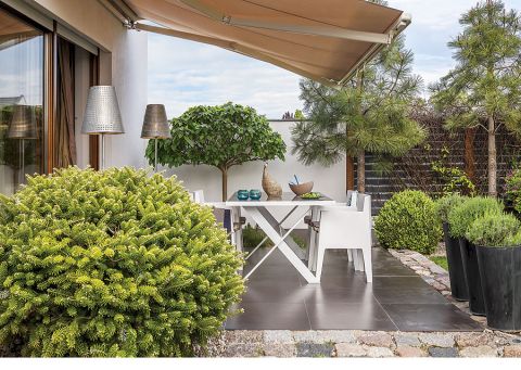 Rosną tu sosny, jodły, kosodrzewiny i modrzewie. Jest też własny dąb i przed domem kilka brzóz.