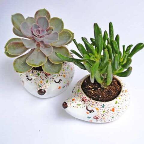 ceramiczne doniczki Mrs Biscuit