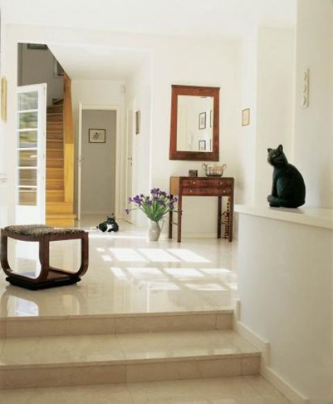 Na tym zdjęciu tylko jeden kot jest prawdziwy- Gacek na podłodze. Na murku zasiadł kot z papier marche. Do