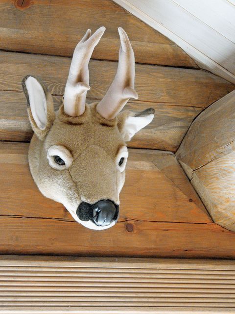 Dekoracyjne trofea zrobione ze sztucznego futra.