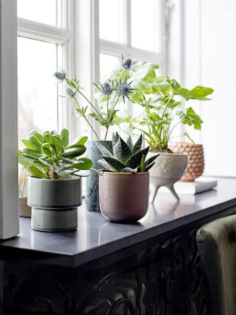 Ceramiczne doniczki Boomingville