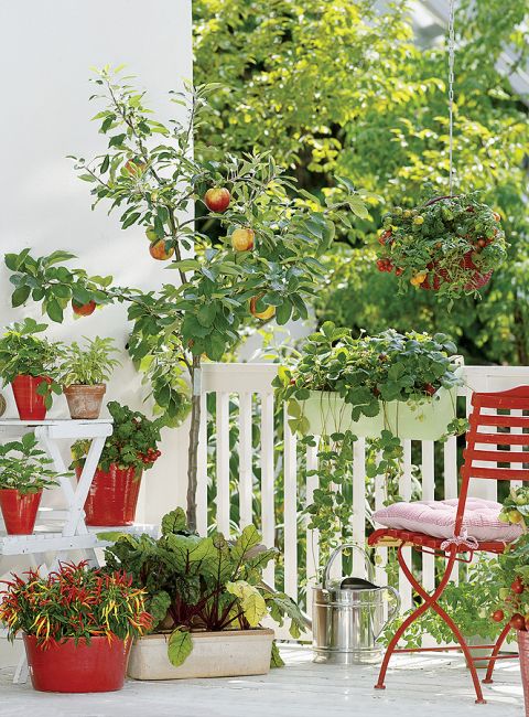 aranżacje z kwiatami na balkon