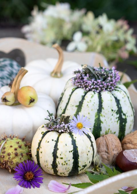 dekoracje z białej dyni