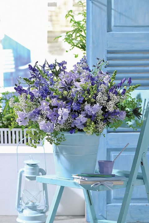 kwiaty na balkon latem