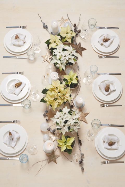 biała gwiazda betlejemska dekoracja stołu na boże narodzenie