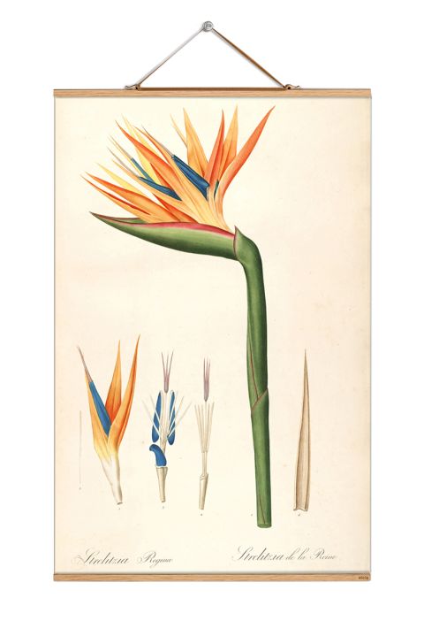 dekoracje ścienne botaniczne