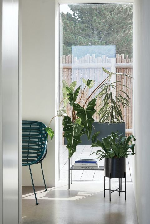 nowoczesny kwietnik do salonu