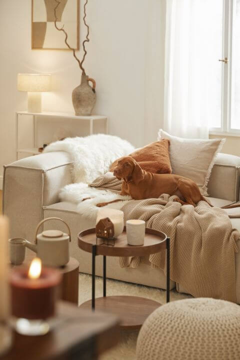 dekoracje zimowe do domu