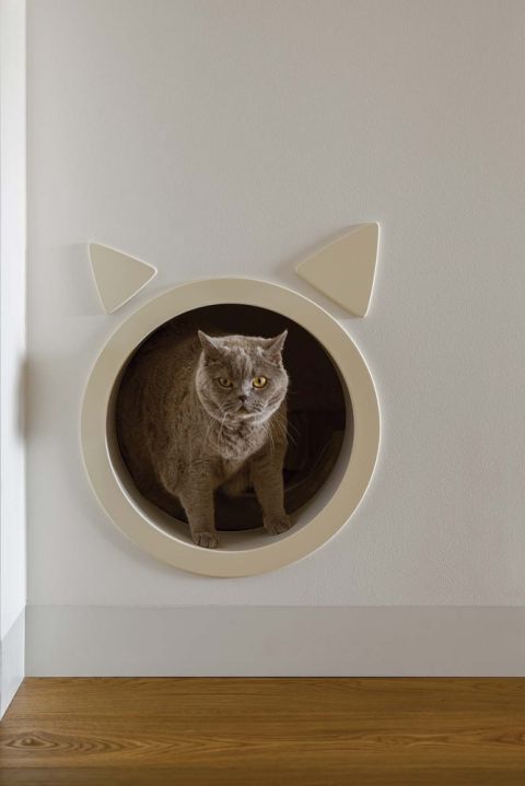 przejście dla kota z motywem kocich uszu