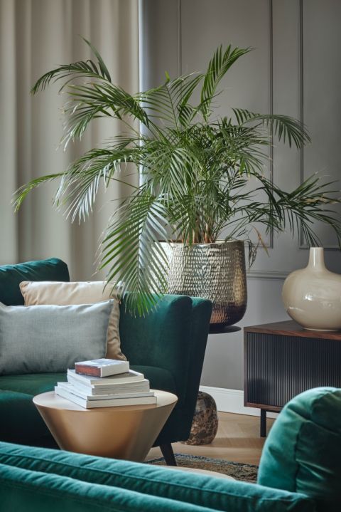 zielony salon aranżacje