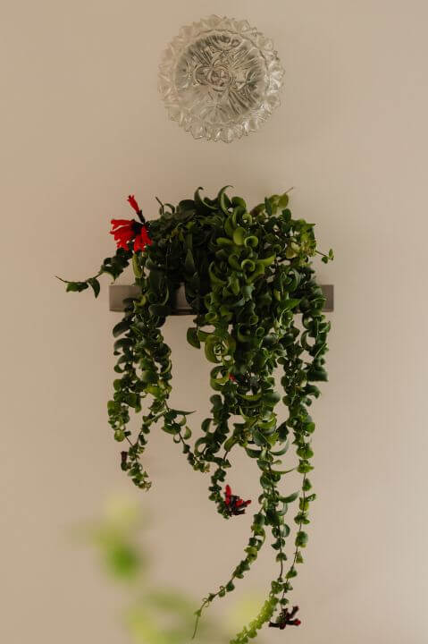 półka na doniczkę