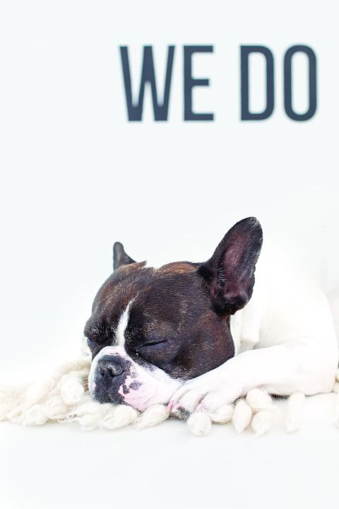 Poznań: Wnętrze pełne światła