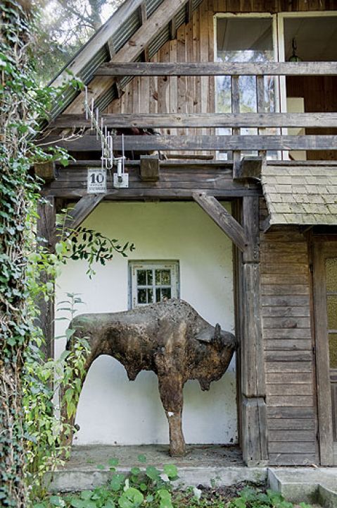 Anna Dębska rzeźbi zwierzęta. Jej drewniany dom stoi w lesie, a pomiędzy drzewami stoi mnóstwo rzeźb.