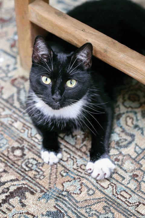 Mało kto rzuca się z zapałem na urządzanie mieszkania na poddaszu, które przypomina tramwaj. Ma długi korytarz i przykryte