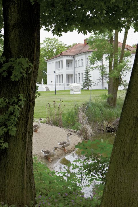 Trzecie życie pałacu: klasyka i nowoczesność