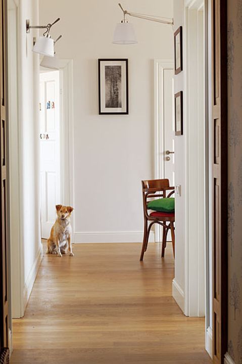 Podłogi w całym mieszkaniu są wyłożone dębowymi deskami, solidnymi i ciepłymi.