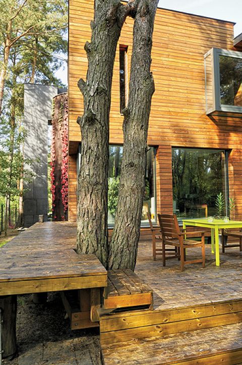 Ściana obłożona tarniną, po której spływa solanka.