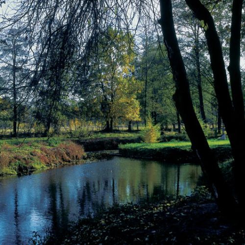 ? To by­ło jed­no wiel­kie, peł­ne ko­ma­rów mo­kra­dło. By­łam prze­ra­żo­na ? doda­je Ela ? Ale Pio­trek uparł się, że