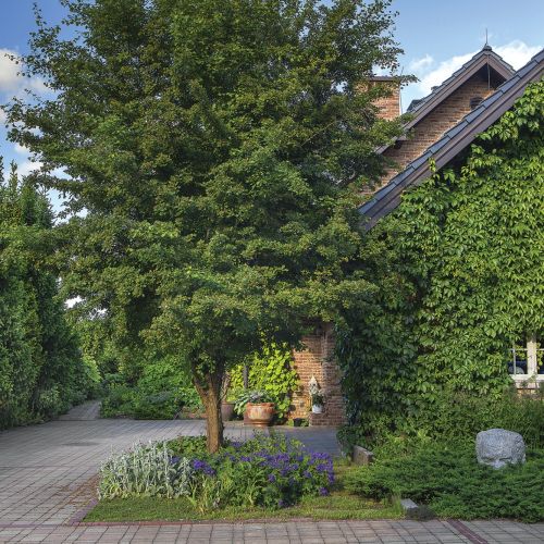 aranżacja naturalnego ogrodu z romantycznymi zakątkami