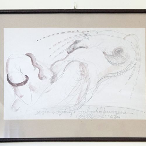 Zuzanna Łapicka-Olbrychska mieszkanie