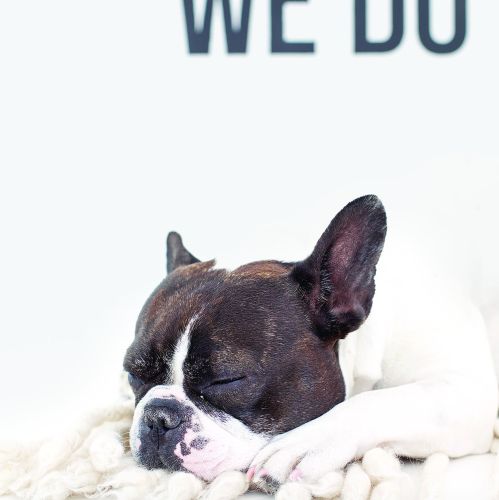 Poznań: Wnętrze pełne światła