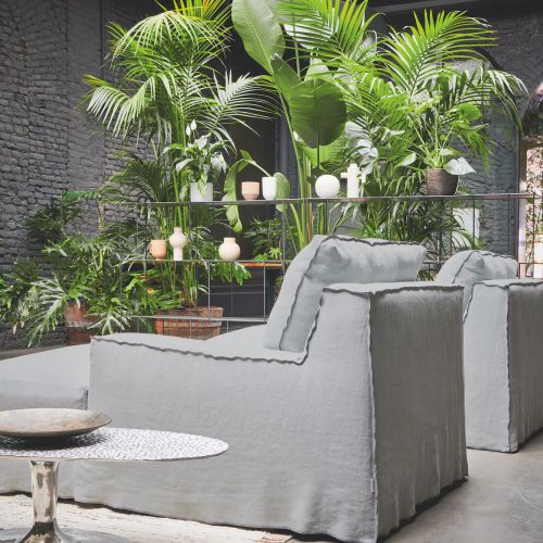 rośliny do szarego salonu