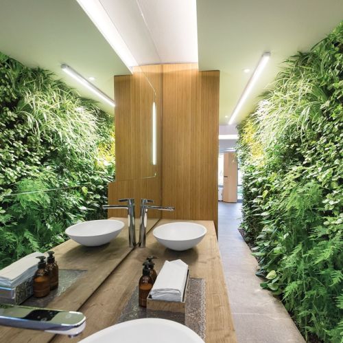 Pionowy ogród w łazience, z żywymi roślinami i oszczędnym systemem automatycznego nawadniania, livinggreenwalls.co.za