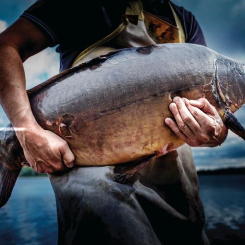 Wernisaż Wystawy Fotografii Rafał Lipski – Wewnętrzne Obrazy